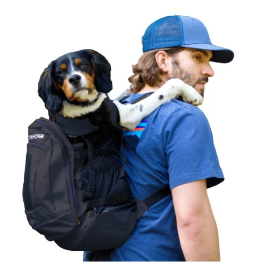 K9 Plus 2