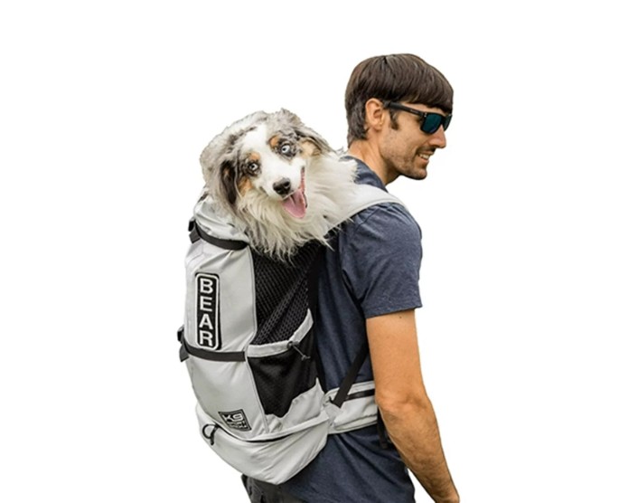 k9 knavigate grey